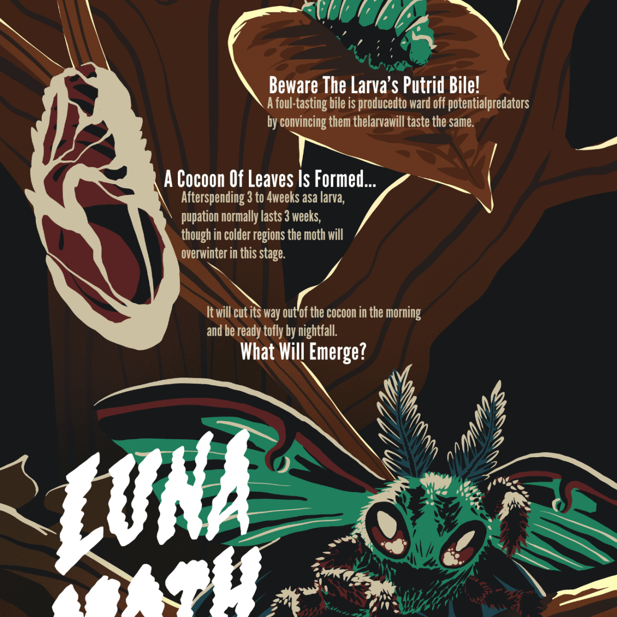 Luna Moth Poster