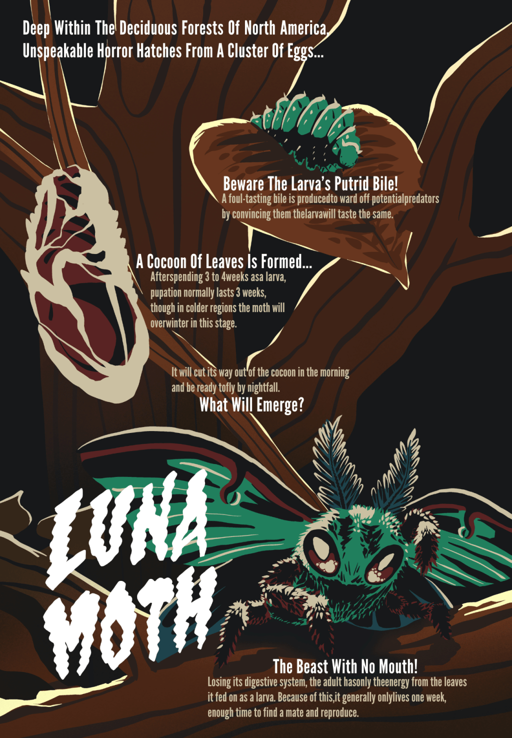 Luna Moth Poster